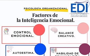 Factores de la Inteligencia Emocional